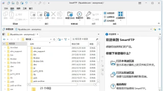 SmartFTP Enterprise v10.0.3247 简体中文修订版 SmartFTP Enterprise v10.0.3247 简体中文修订版