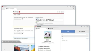 AnyDesk Reset