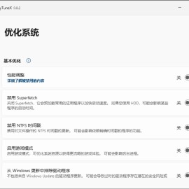Win10/11 系统优化工具 RyTuneX 1.6.0 中文多语免费版