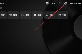 TVBox takagen99版 v20260217-1327 电视直播+点播
