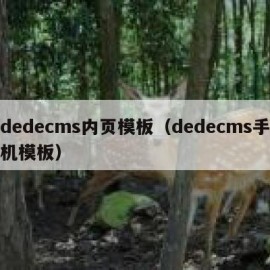 dedecms内页模板（dedecms手机模板）