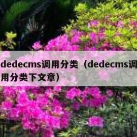 dedecms调用分类（dedecms调用分类下文章）