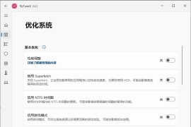 Win10/11 系统优化工具 RyTuneX 1.6.0 中文多语免费版