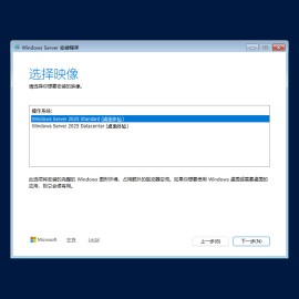 Windows Server 2025 简体中文版 2025.10