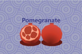 石榴画2D风格特效作品欣赏必备