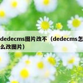 dedecms图片改不（dedecms怎么改图片）