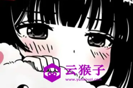 一个隐藏视频的小玩意
