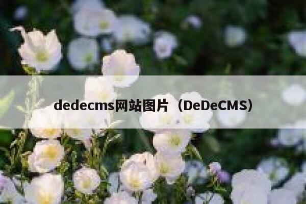 dedecms网站图片（DeDeCMS）,dedecms教程,织梦cms教程,教程之家,第1张