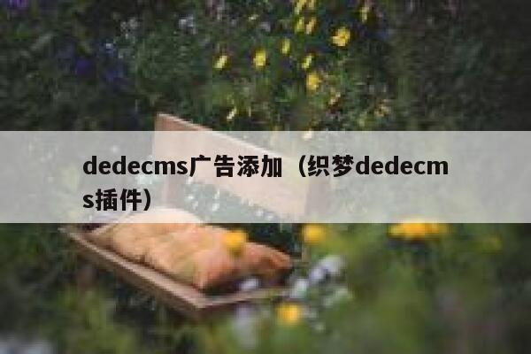 dedecms广告添加（织梦dedecms插件）,dedecms教程,织梦cms教程,教程之家,第1张