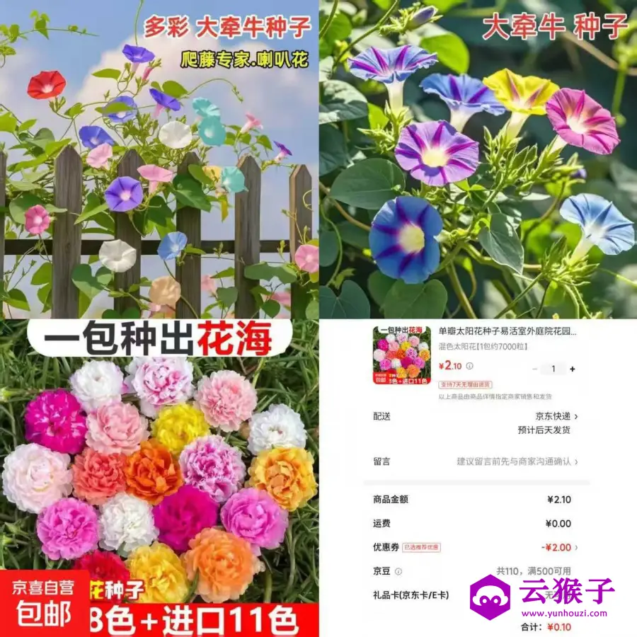 京东0.1太阳花种子约7000粒,第1张 京东0.1太阳花种子约7000粒,第1张