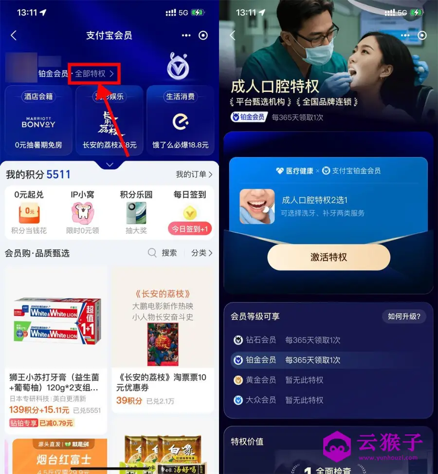 支付宝铂金钻石会员免费洗牙,第1张 支付宝铂金钻石会员免费洗牙,第1张