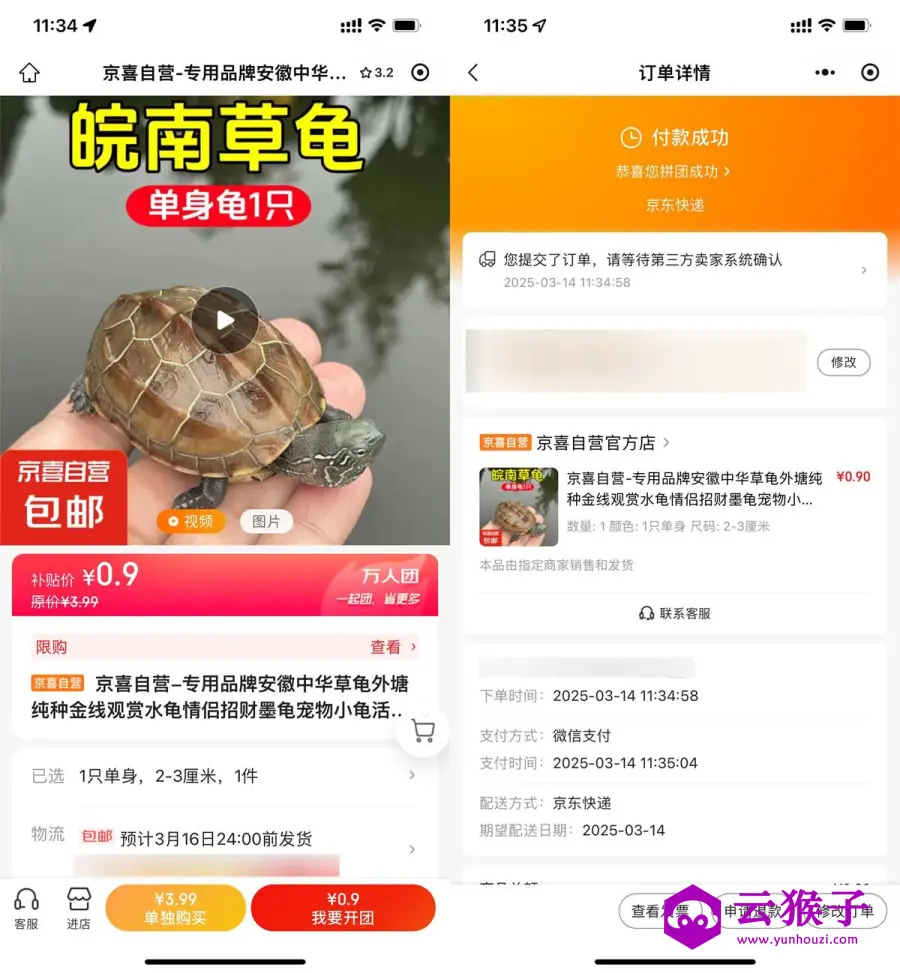 京东拼团0.9亓撸中华草龟1只,第1张 京东拼团0.9亓撸中华草龟1只,第1张