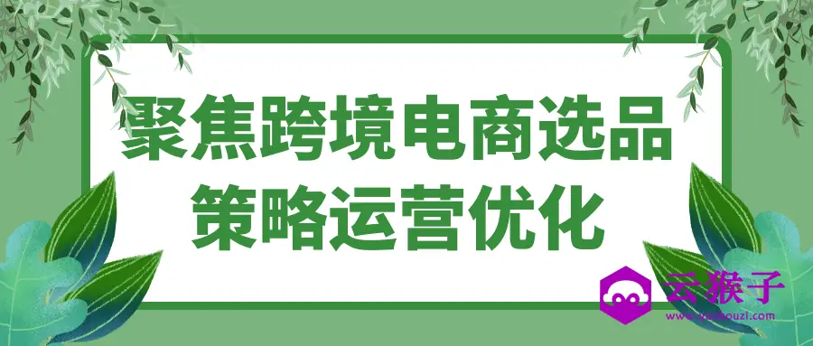 聚焦跨境电商选品策略运营优化,第1张 聚焦跨境电商选品策略运营优化,第1张