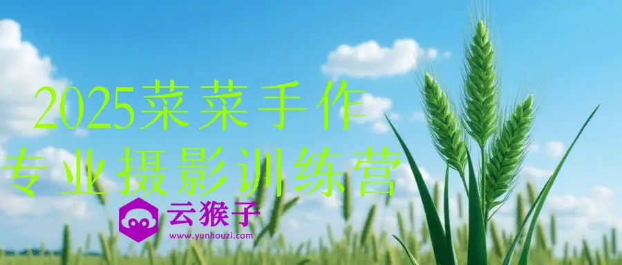 2025菜菜手作专业摄影训练营,第1张 2025菜菜手作专业摄影训练营,第1张